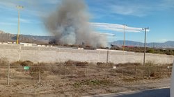 Whats_App_Image_2026_02_19_at_5_25_32_PM_4fe9cb0be1