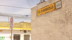 Whats_App_Image_2026_02_19_at_8_32_45_PM_550177212c