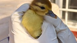 Whats_App_Image_2026_02_24_at_3_01_24_PM_7fb8afc2e7