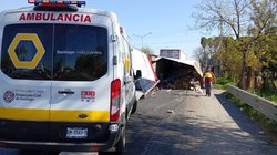 Whats_App_Image_2026_02_24_at_6_01_19_PM_fc98a61027