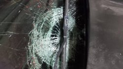 Whats_App_Image_2026_03_02_at_11_23_00_PM_3dbf26cbc4