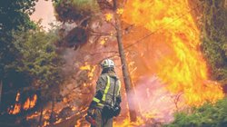 Whats_App_Image_2026_03_03_at_1_16_18_AM_d8f6769e39