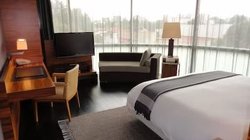 Whats_App_Image_2026_03_04_at_15_55_07_48727654f7