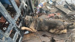 Whats_App_Image_2026_03_07_at_2_03_17_PM_50a8d5ea00