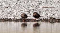 Whats_App_Image_2026_03_09_at_3_25_37_PM_b56785a840