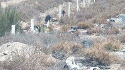 Whats_App_Image_2026_03_10_at_2_13_22_AM_1d8a615ffc