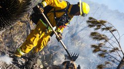 Whats_App_Image_2026_03_14_at_19_17_17_d9be3f410f