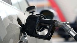 Whats_App_Image_2026_03_14_at_4_02_22_PM_fbd1d9df4d