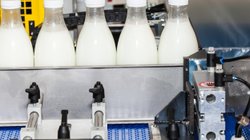 Whats_App_Image_2026_03_15_at_3_00_33_PM_66d7335e54