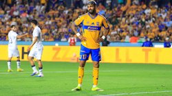 Whats_App_Image_2026_03_15_at_7_25_21_PM_6b2384ebff