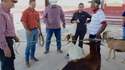 Whats_App_Image_2026_03_17_at_2_02_54_PM_57c74b8f4f