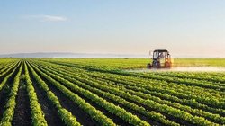 Whats_App_Image_2026_03_22_at_2_48_16_PM_56b99c0f1a