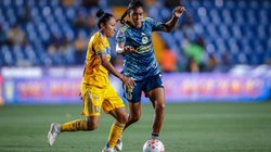 Whats_App_Image_2026_03_25_at_9_32_43_PM_32867a7310