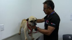 Whats_App_Image_2026_04_02_at_6_42_56_PM_f593960316