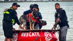 Whats_App_Image_2026_04_05_at_5_19_12_PM_1_2ac890a979