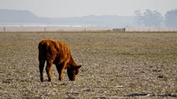 Whats_App_Image_2026_04_06_at_12_06_18_AM_8e8e96287f