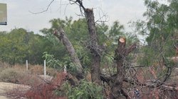 Whats_App_Image_2026_04_08_at_09_46_06_93cef8e6c4