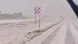 Whats_App_Image_2026_04_08_at_10_47_28_PM_25208c2d1d