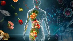 Whats_App_Image_2026_04_08_at_2_08_19_PM_fa1ad91e4b