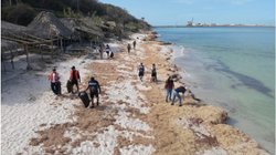 Whats_App_Image_2026_04_10_at_1_51_15_AM_dd29319872