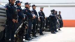 Whats_App_Image_2026_04_12_at_14_45_39_0fc5e172cf