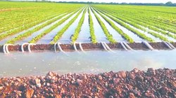 Whats_App_Image_2026_04_15_at_12_28_40_AM_17546b1615