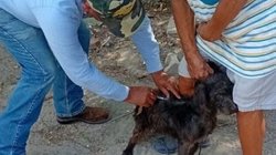 Whats_App_Image_2026_04_15_at_8_38_41_PM_d67c380a8c