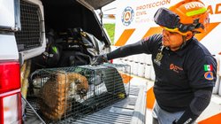 Whats_App_Image_2026_04_17_at_11_54_29_AM_1_486cd0c38f