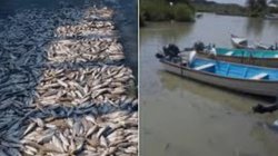 Whats_App_Image_2026_04_20_at_6_26_34_PM_a3b8ac49ef