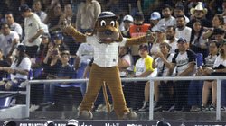 Whats_App_Image_2026_04_21_at_12_48_36_AM_c7fbfef6ff