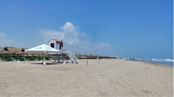 Whats_App_Image_2026_04_25_at_12_04_33_PM_434fa3b9fc