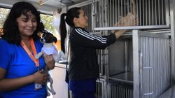 Whats_App_Image_2026_04_26_at_12_30_19_ad02b15ec6