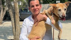 Whats_App_Image_2026_04_26_at_7_55_36_PM_fb9b13901d