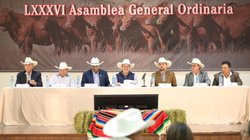 Whats_App_Image_2026_04_27_at_6_33_02_PM_7c0c30fcee