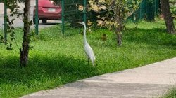 Whats_App_Image_2026_04_28_at_7_12_46_PM_1_0b5799757d