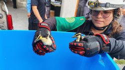 Whats_App_Image_2026_04_30_at_11_11_28_AM_1_7556850cbd