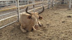 Whats_App_Image_2026_04_30_at_11_22_39_AM_9fcbfb8220