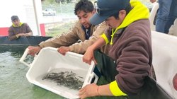 a46e8fcd_579b_4edc_9bdb_ede254b0762c_81e3c41845