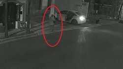 a9488923_6260_40ee_b7e0_996a6112b144_1dafaf3a7f