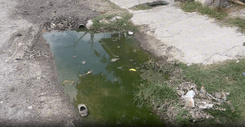 aguas_negras_tamaulipas_3d859513d6