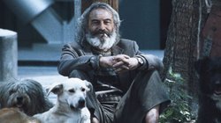 amores_perros_a9b356d3dc