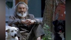 amores_perros_pelicula_8022d47581