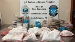 animales_puente_12623ea592