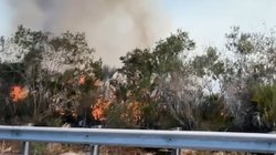 arrasa_florida_incendio_hectareas_e70b3e0553
