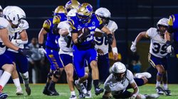 autenticos_tigres_2734fb4606