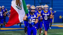 autenticos_tigres_97f20edf2f