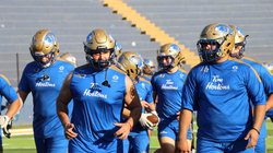 autenticos_tigres_c8456a2023