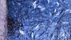 b9f29cdc_3364_4d5c_9149_07c4907d3faa_eca9bcef05