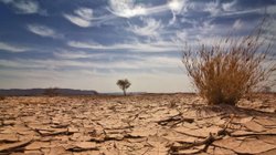 bancarrota_hidrica_naciones_unidas_41fed6c2de