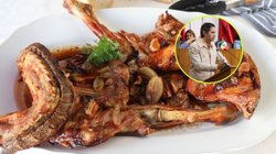 cabrito_diputado_4c4d01c53b